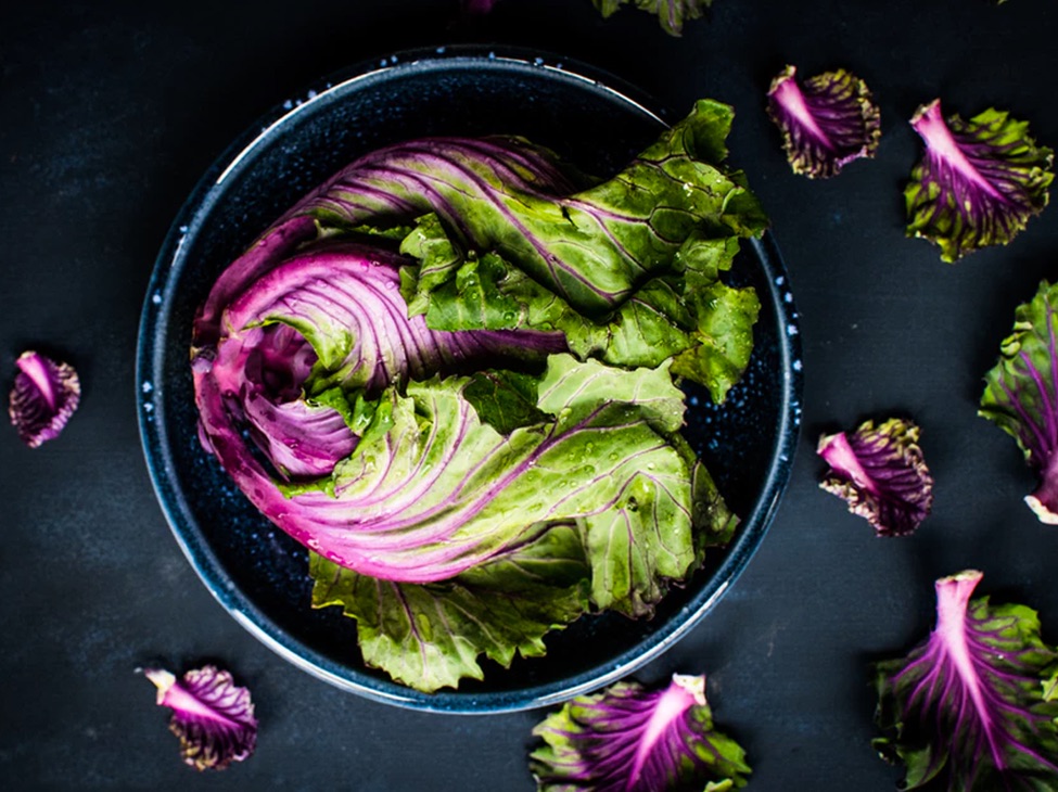 A head of read leaf lettuce is in a ceramic dish, with smaller leaves surrounding it.